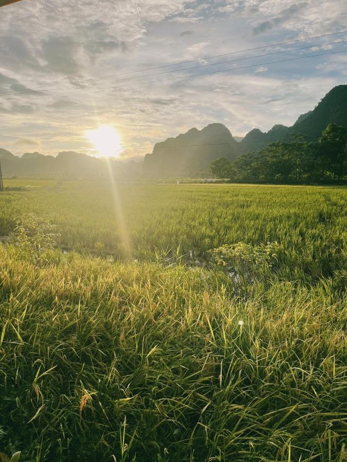 Tam Coc Windy Fields Villa Ninh Binh Dış mekan fotoğraf
