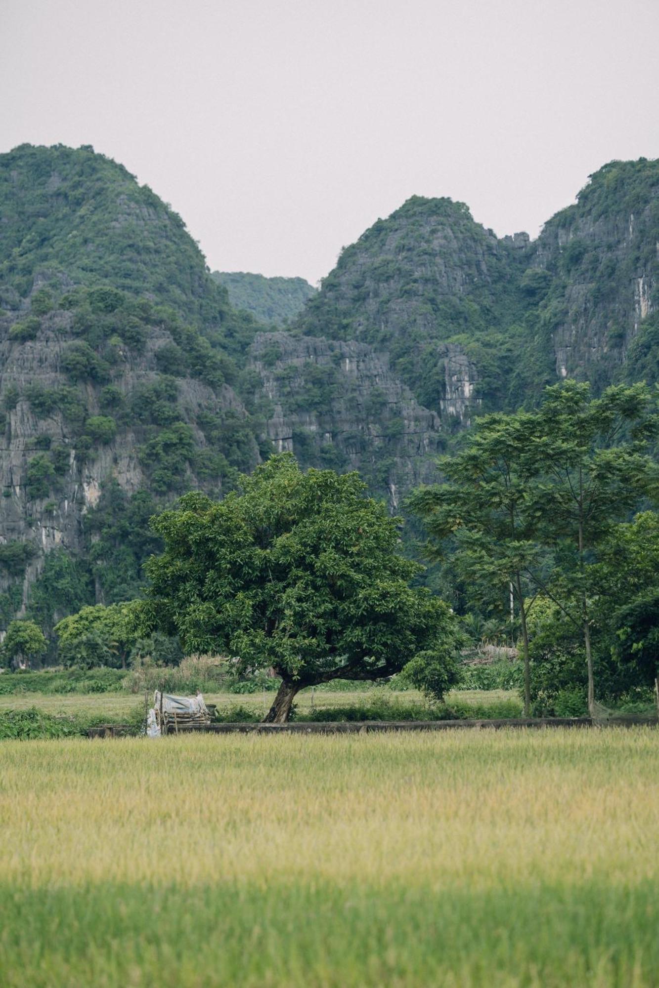 Tam Coc Windy Fields Villa Ninh Binh Dış mekan fotoğraf